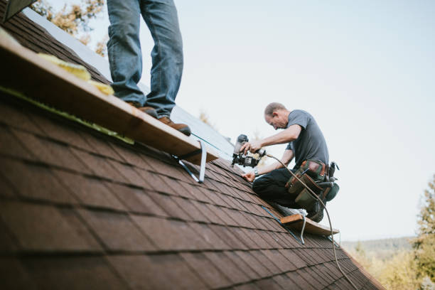 Roof Gutter Cleaning in Tulare, CA